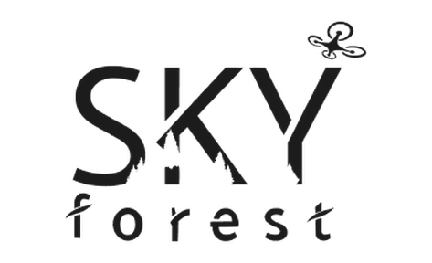 Sky forest
