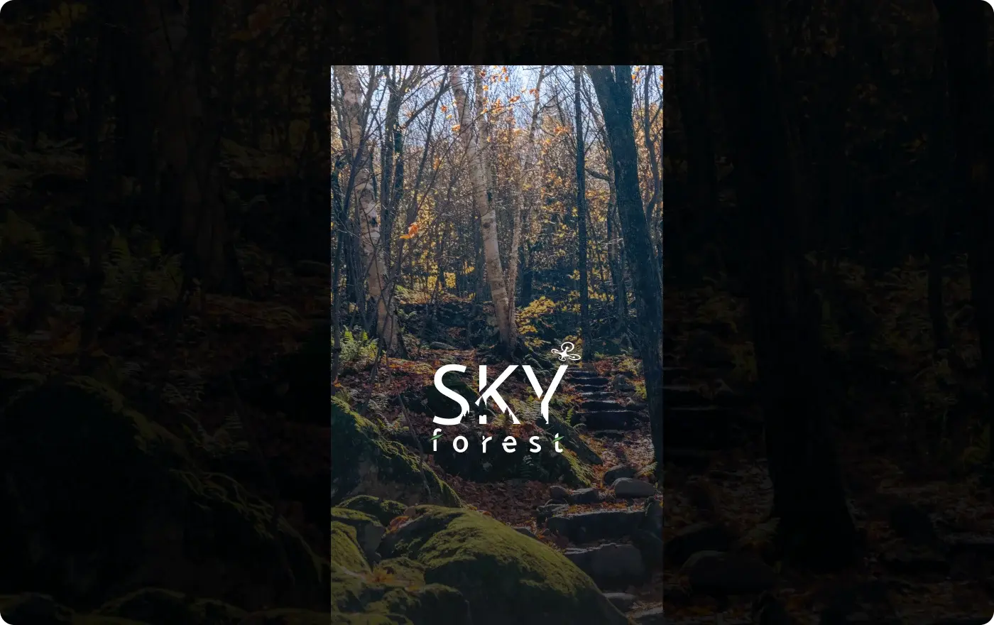 Sky forest — Cover