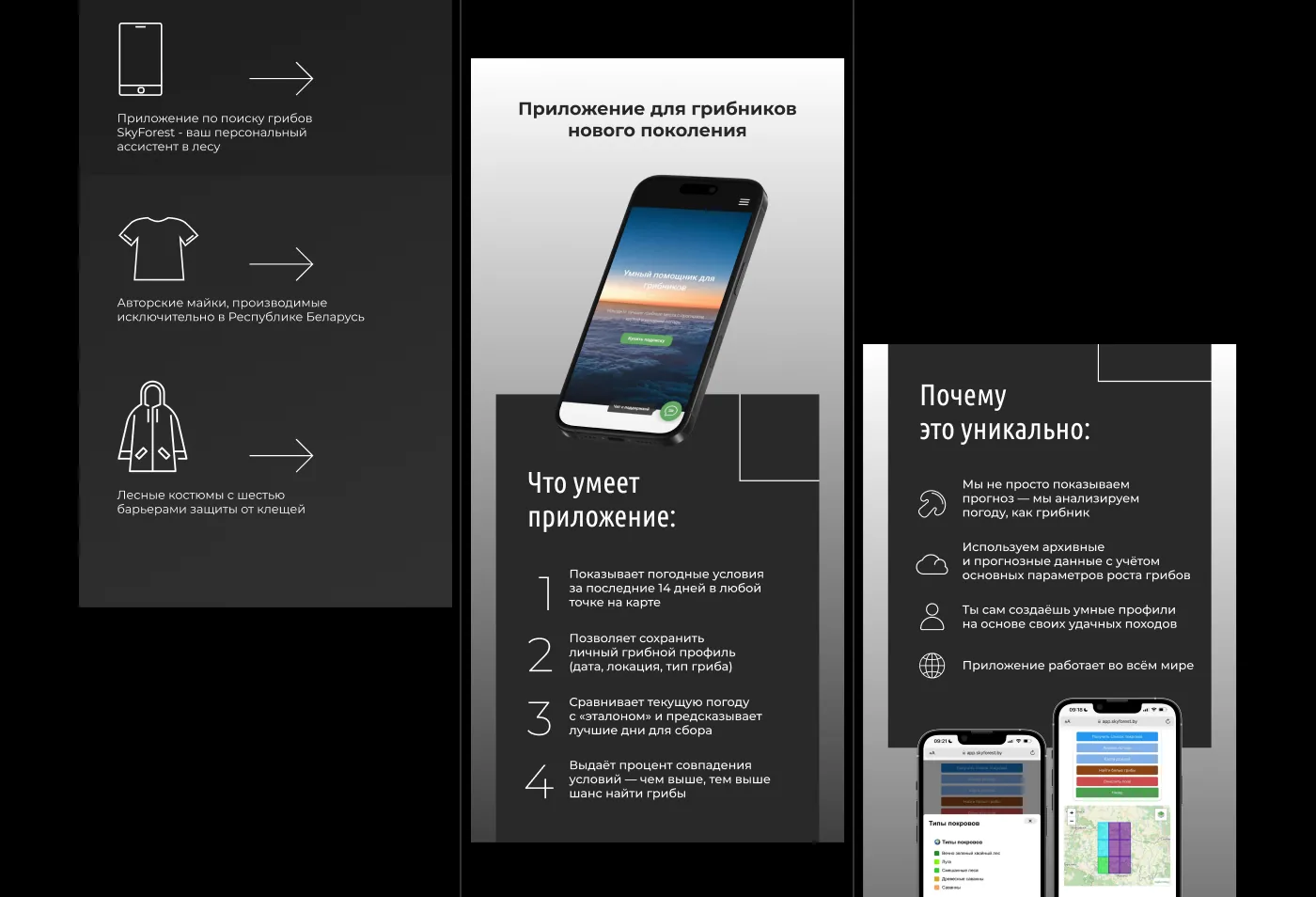 Sky forest — Brochure