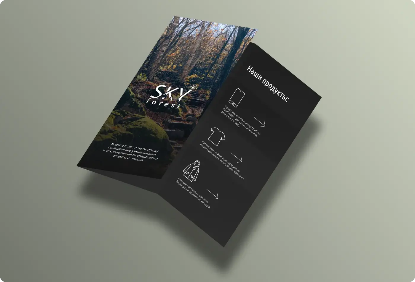 Sky forest — Brochure